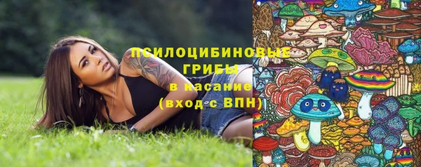 эйфоретик Абаза