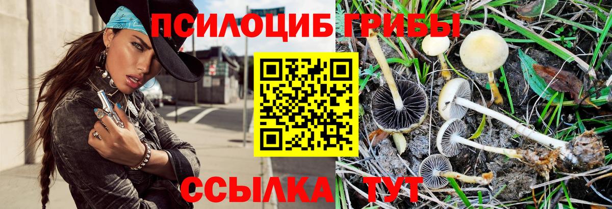 Галлюциногенные грибы мицелий Кисловодск