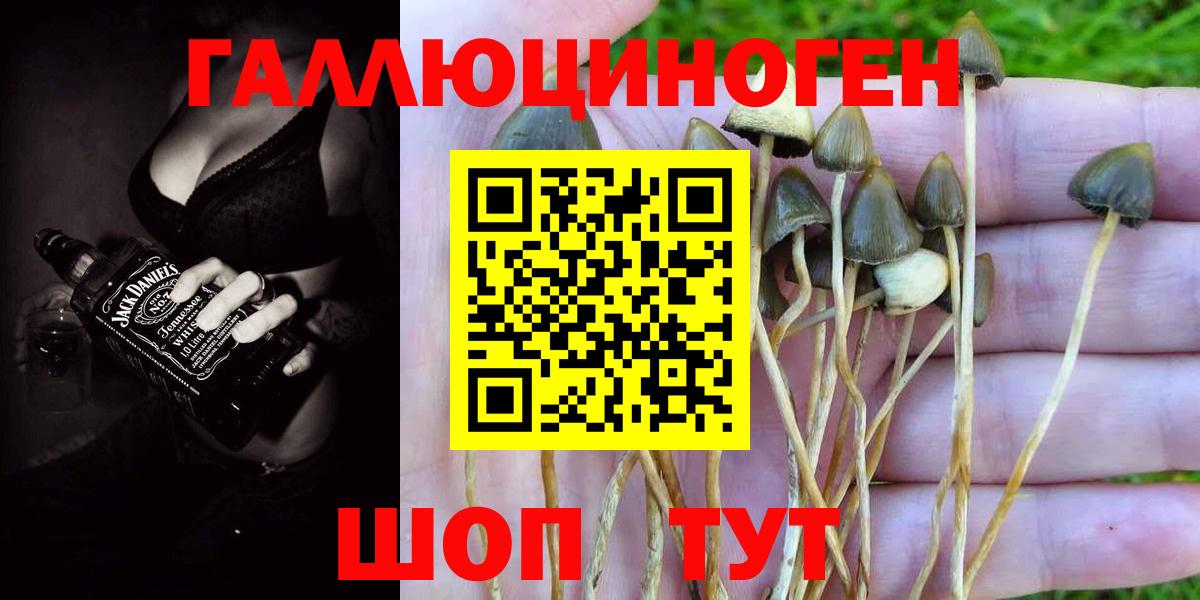 Галлюциногенные грибы Cubensis  Вход с VPN  Кисловодск 
